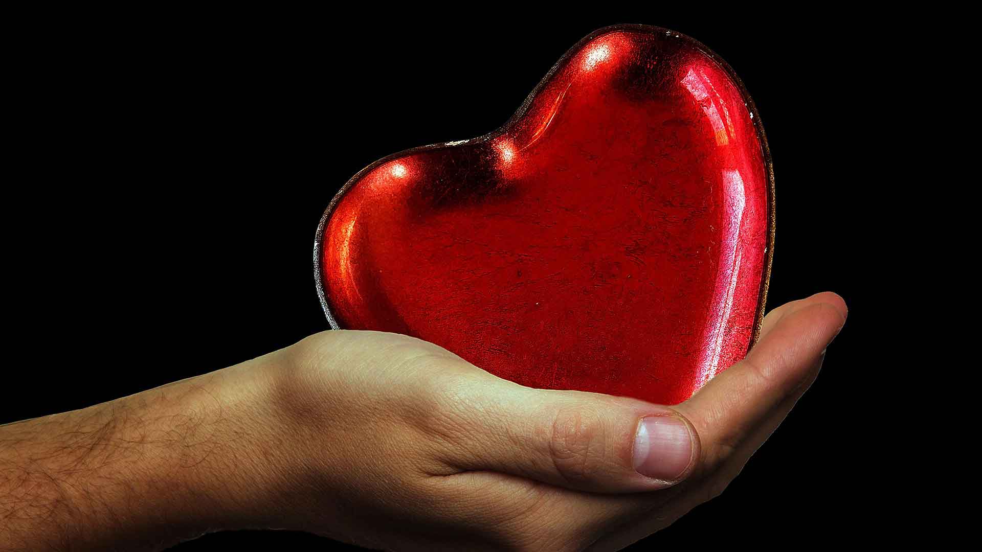 Beautiful spring flowers and roses