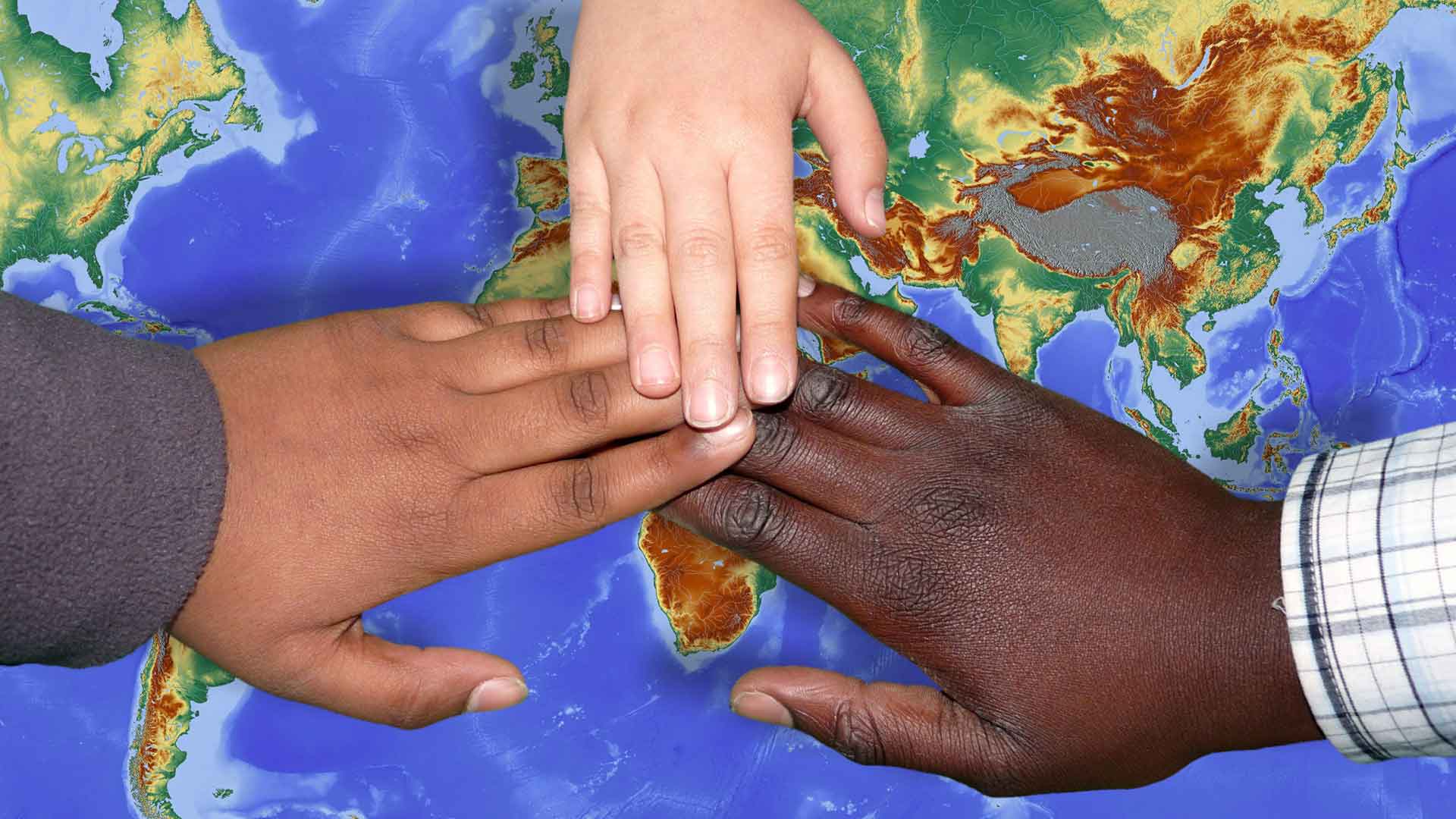 Beautiful spring flowers and roses