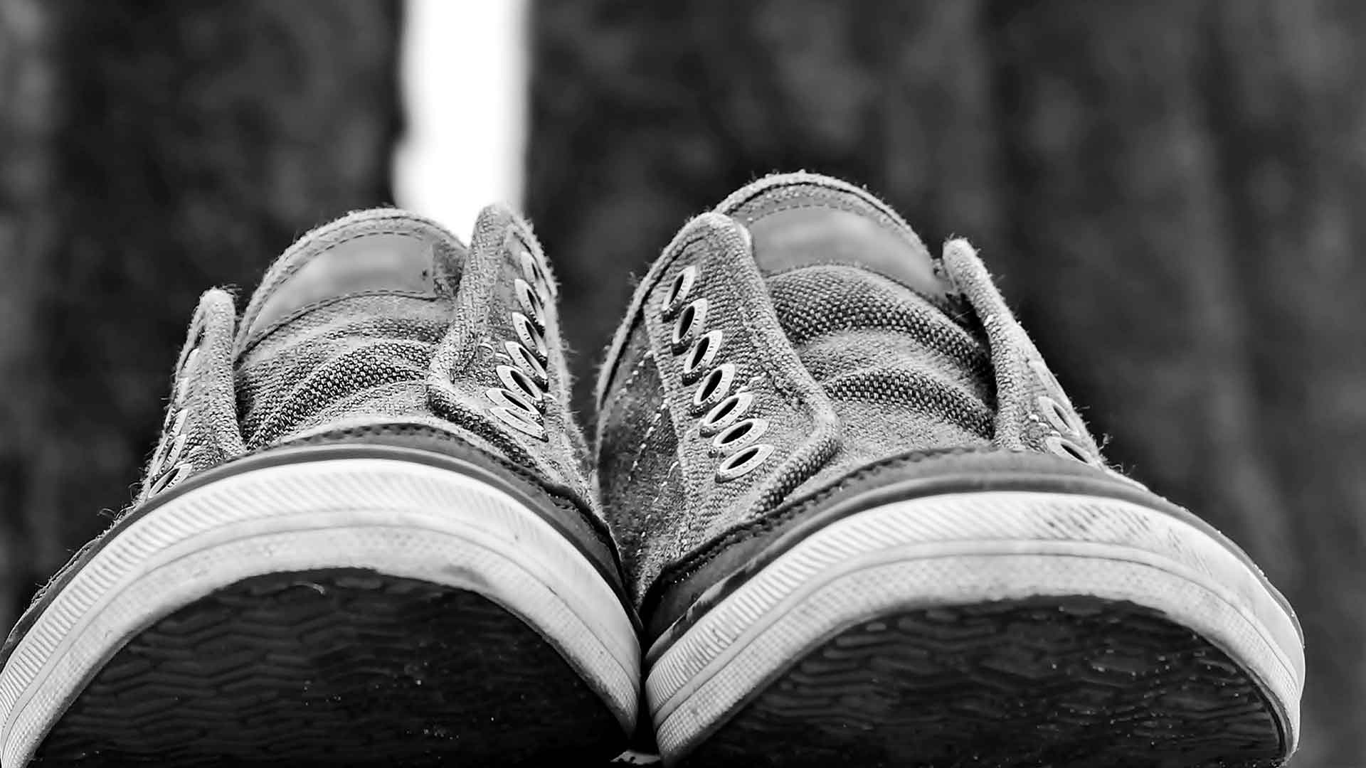 Beautiful spring flowers and roses